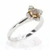 Diamond Halo Chocolate Ring White Gold