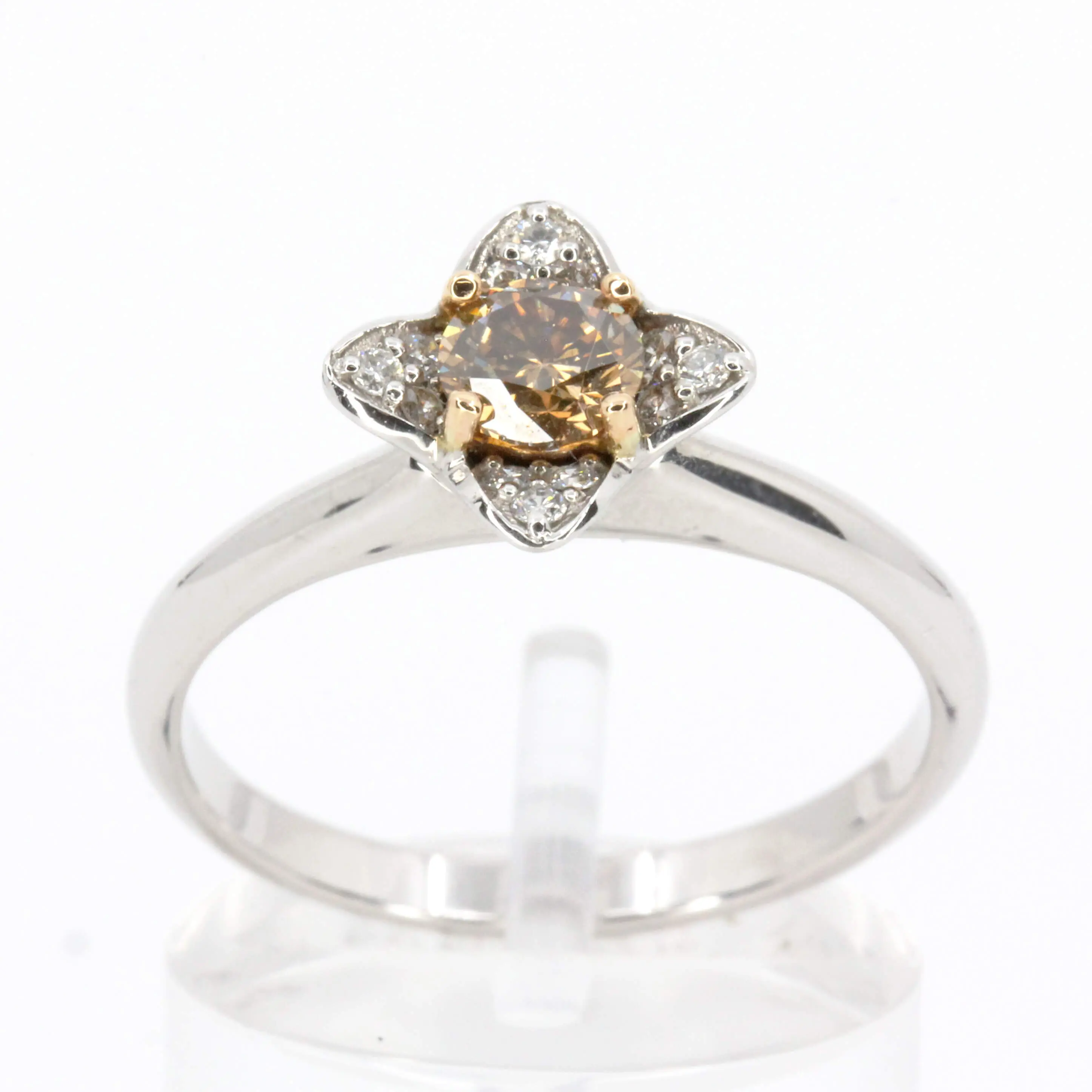 Diamond Halo Chocolate Ring White Gold