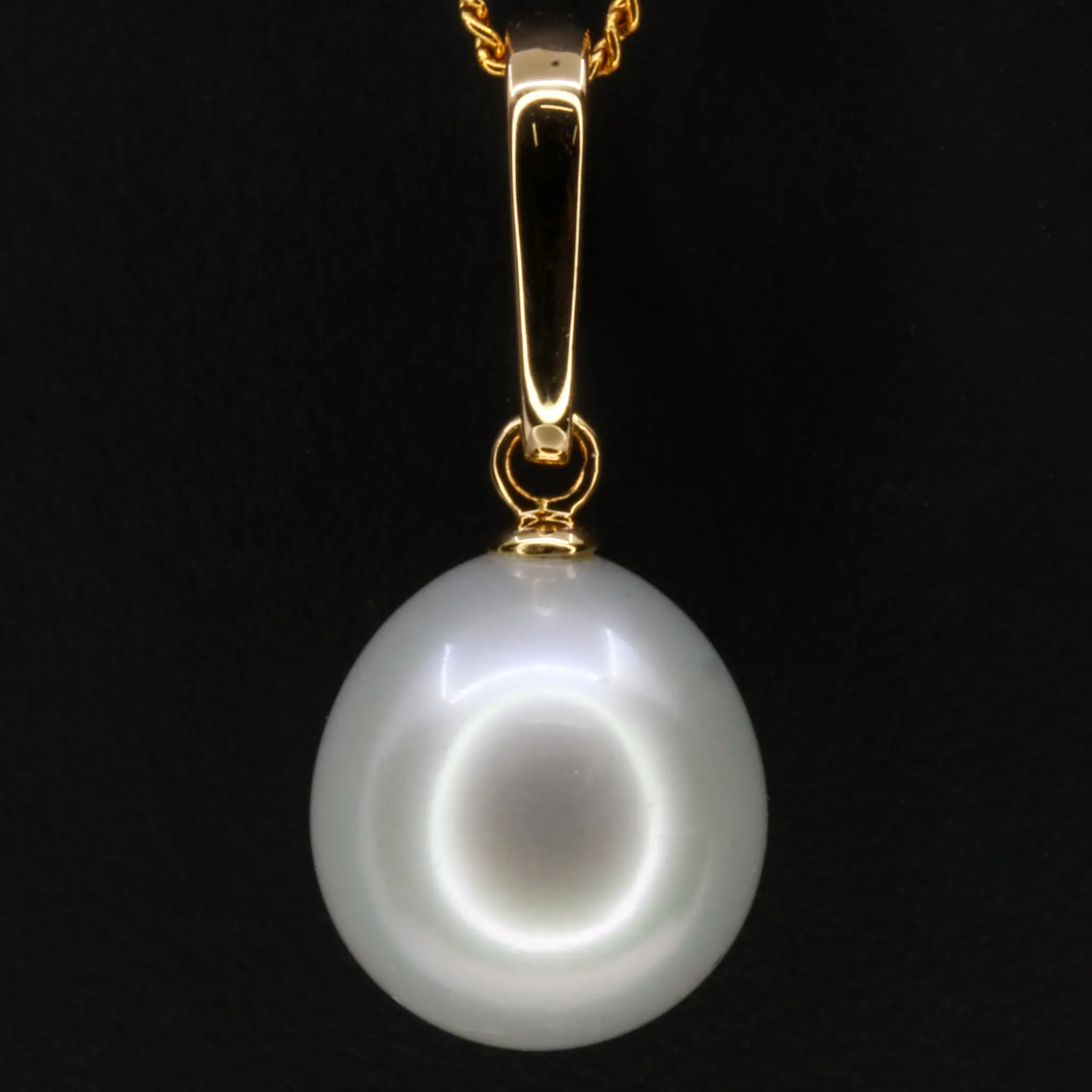 PP1252 (2)