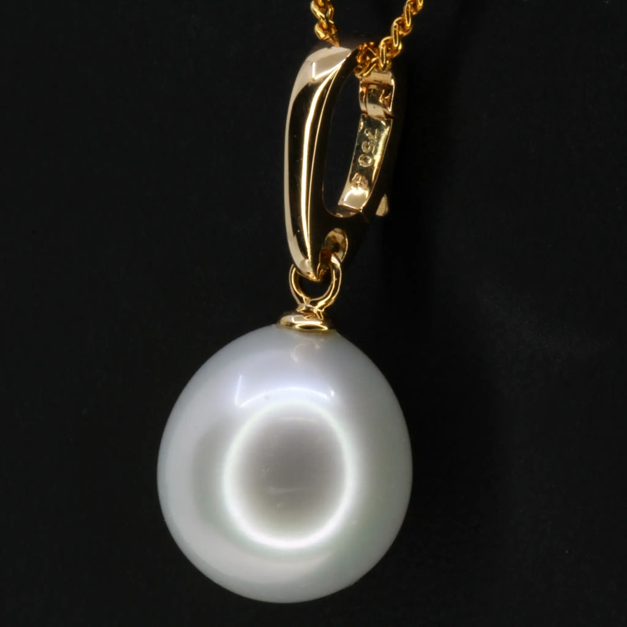 PP1252 (4)