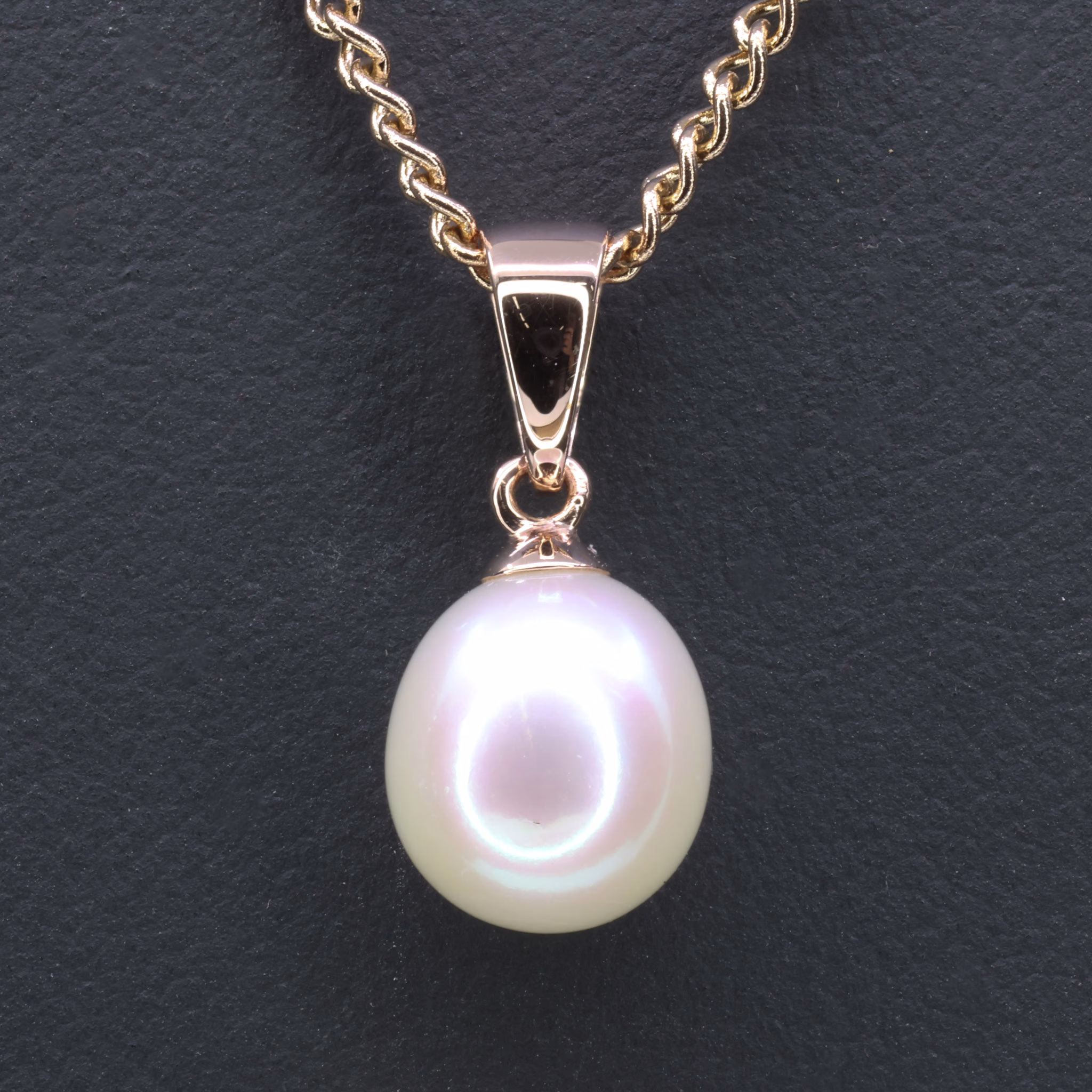 PP1563 RG (27)